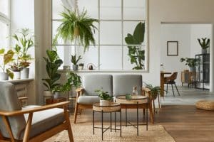 A house decorated with house plants